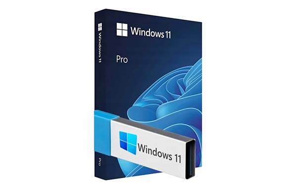 Microsoft WINDOWS 11