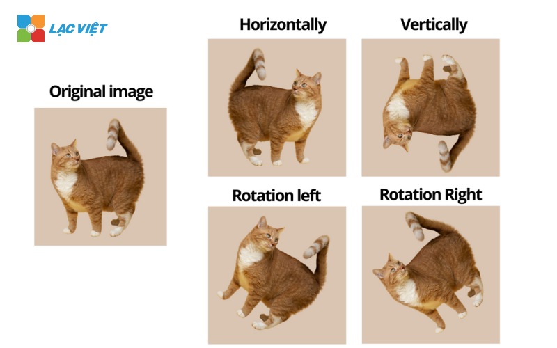 Data augmentation