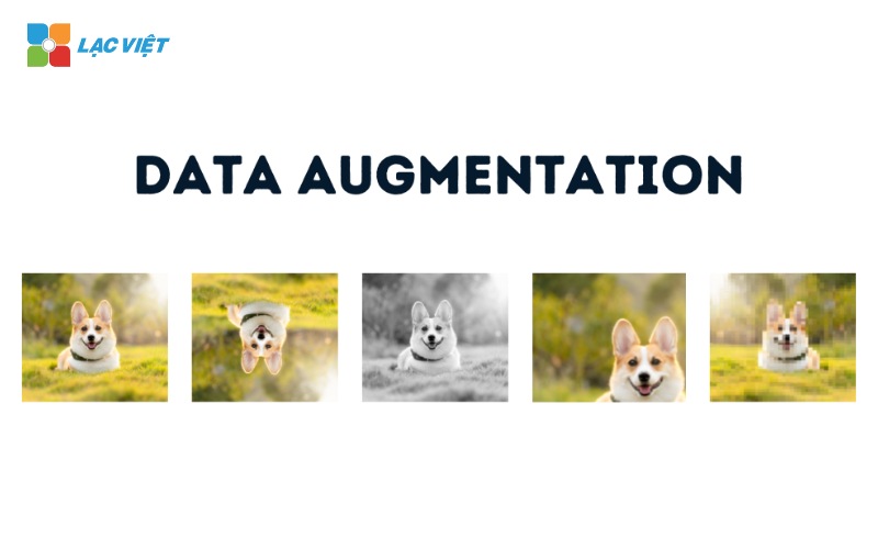 Data augmentation