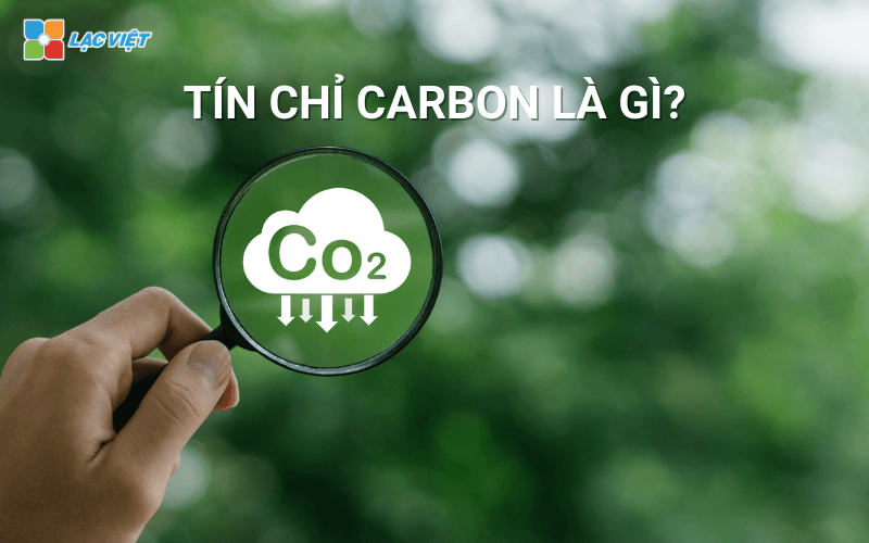 Tín chỉ carbon là gì