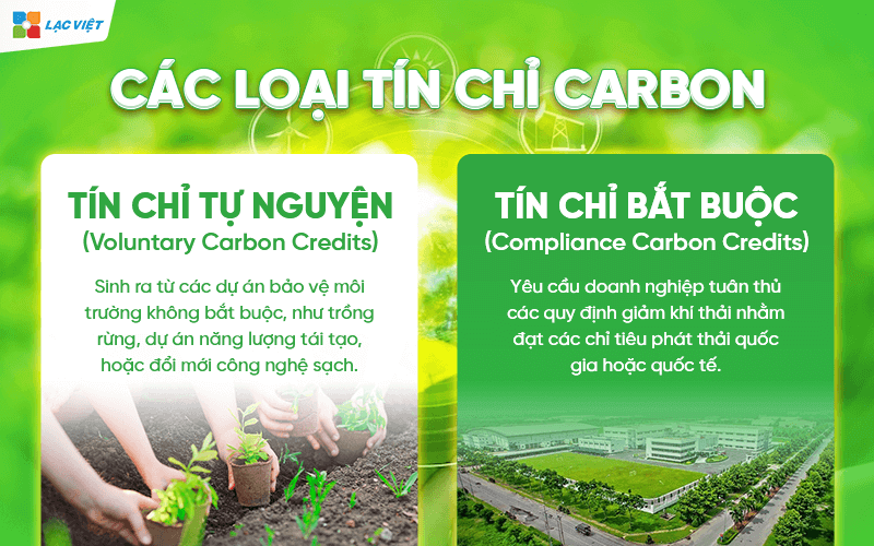 Tín chỉ carbon là gì