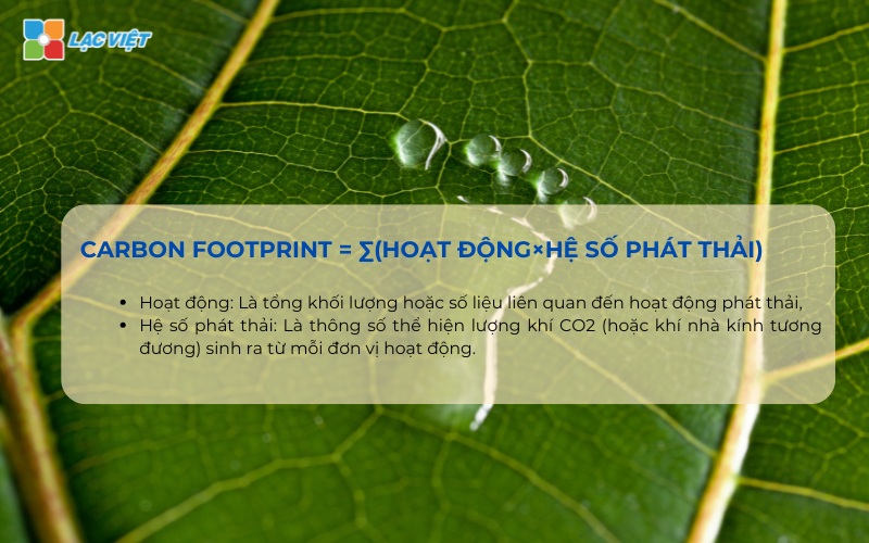 Carbon Footprint 