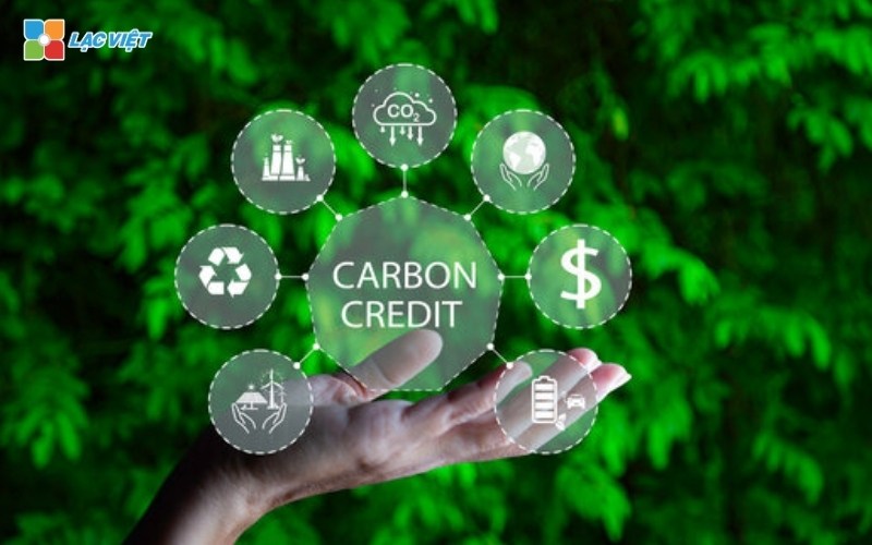 làm sao để có tín chỉ carbon