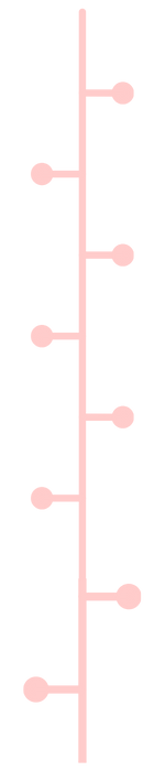timeline