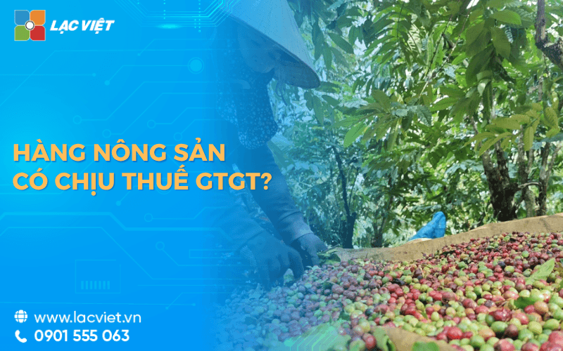 Hàng nông sản có chịu thuế GTGT không? Thuế suất theo từng khâu từ 2026